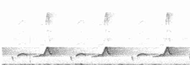 Schwarzkehl-Nachtschwalbe - ML619423825