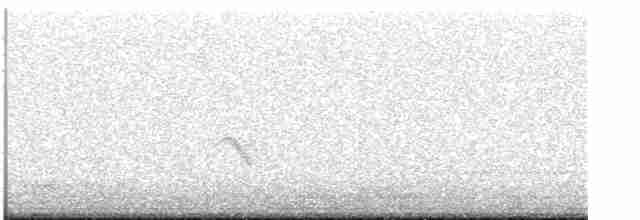 Дрізд-короткодзьоб малий - ML619423846