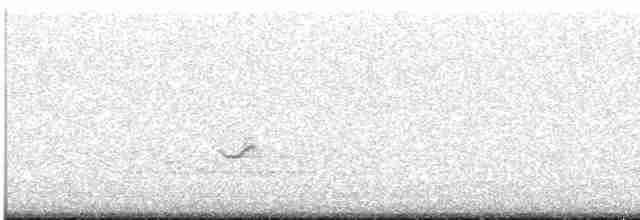 Kara Kanatlı Piranga - ML619423849