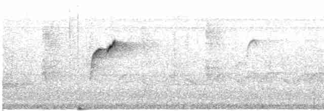 Batı Amerika Sinekkapanı (occidentalis/hellmayri) - ML619423905