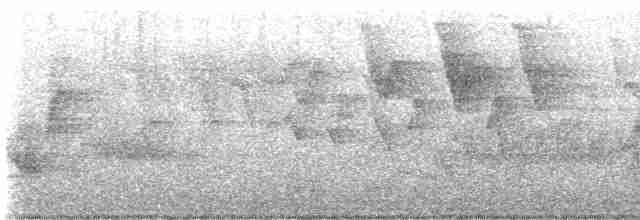 Віреон світлобровий (підвид gilvus) - ML619424231