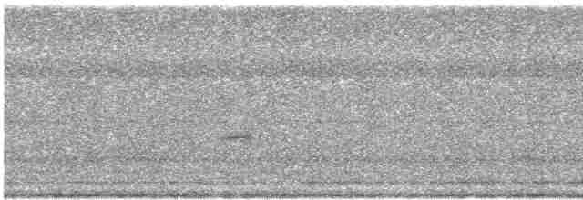 Дрізд-короткодзьоб Cвенсона - ML619424366