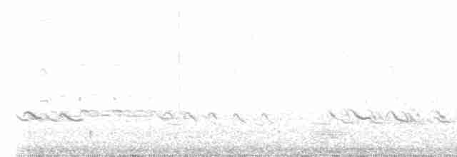 Kuliska hankahori handia - ML619424808