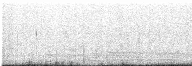 白胸燕鵙 - ML619424824