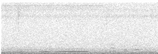 holub bledočelý - ML619424901
