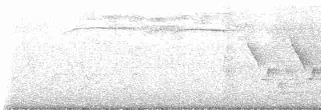 Каролинский крапивник - ML619426004