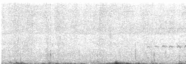 חרמשון קטן/חרמשון אמריקאי - ML619426759