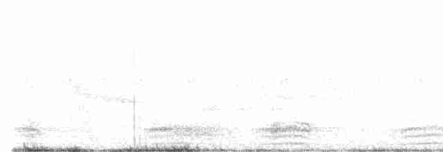 Cuervo Grande - ML619426824