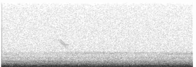 Дрізд-короткодзьоб малий - ML619427267