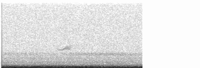 Дрізд-короткодзьоб бурий - ML619427313
