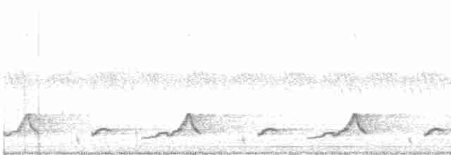 Schwarzkehl-Nachtschwalbe - ML619427572