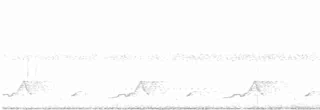 Schwarzkehl-Nachtschwalbe - ML619427573