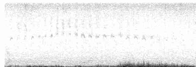 ムナジロアマツバメ - ML619428825