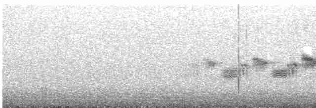 Black-throated Gray Warbler - ML619429389