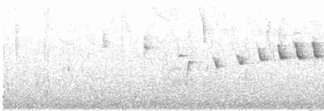 Paruline à cimier noir - ML619431617