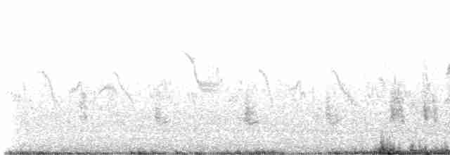 Oriental Reed Warbler - ML619432109