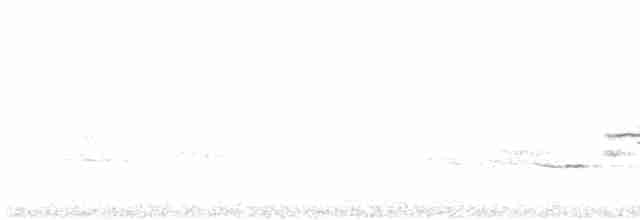 Дрізд-короткодзьоб плямистоволий - ML619433247