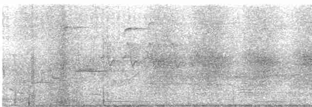 Oriole des vergers - ML619433284