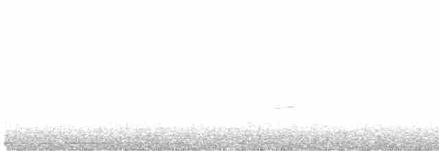 Дрізд-короткодзьоб Cвенсона - ML619433349