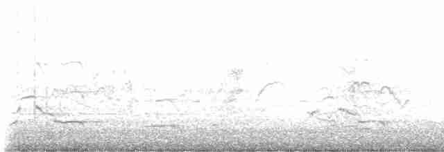 Carnaby Siyah Kakadusu - ML619435184