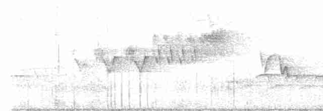 Cerulean Warbler - ML619435373
