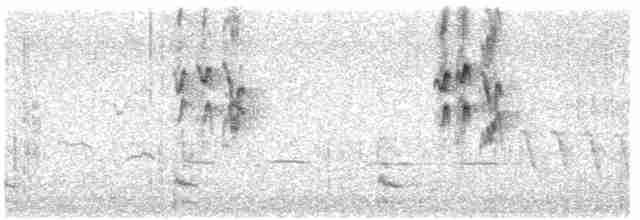 סנונית רפתות - ML619435964
