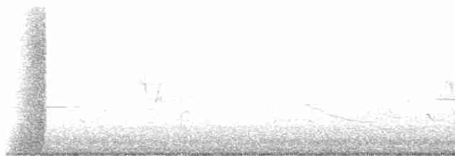 Дрізд-короткодзьоб Cвенсона - ML619436638