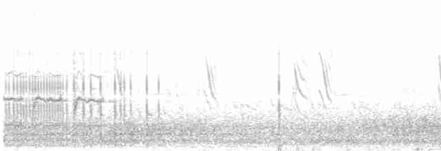 Great Reed Warbler - ML619437059