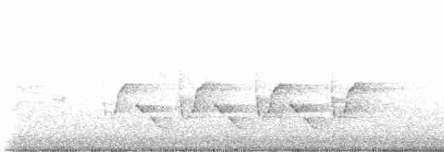 Поплітник каролінський - ML619437167