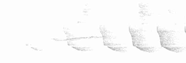 Paruline vermivore - ML619437536
