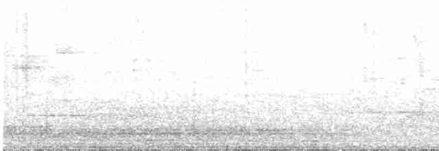 Gray-bellied Tesia - ML619437644