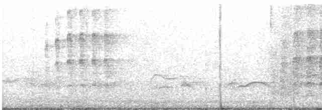Kestane Kanatlı Tepeli Guguk - ML619437655
