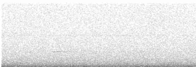 黃嘴角鴞 - ML619438137