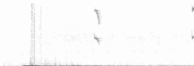 Dusky-tailed Antbird - ML619438591