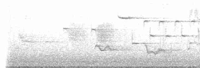 Каролинский крапивник - ML619438795