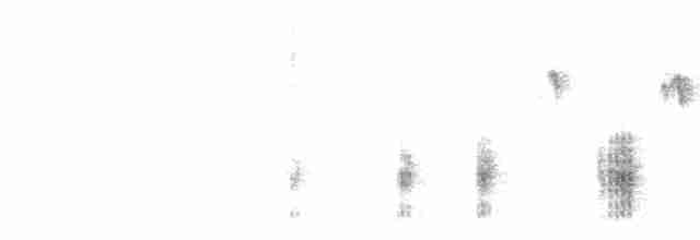 Дроздовидная камышевка - ML619440122