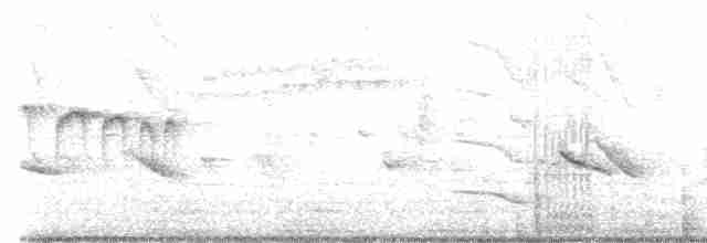 Streifenscheitel-Baumschlüpfer - ML619440439