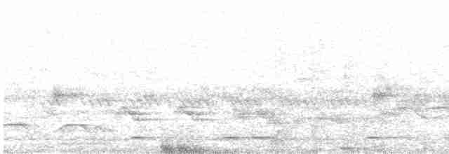 Yazılı Kahverengi Baykuş - ML619440460