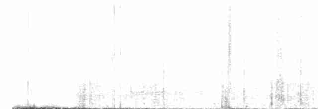Gray Vireo - ML619440824