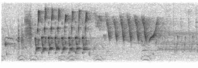 Troglodyte des marais - ML619440841