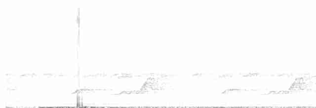 Schwarzkehl-Nachtschwalbe - ML619441241