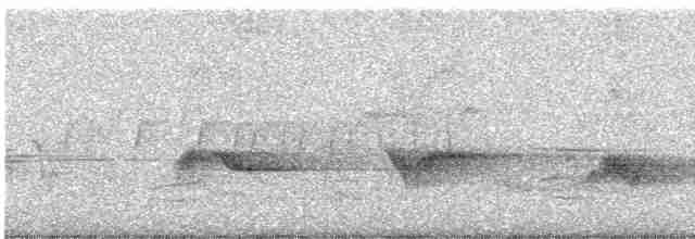 Чернокрылая пиранга - ML619442431
