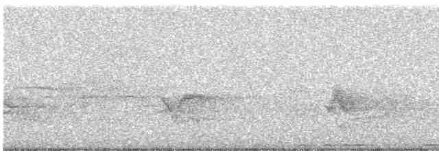 Пересмішник сірий - ML619442543