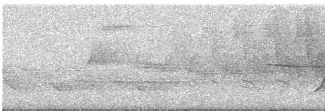 Дроздовый певун - ML619442592