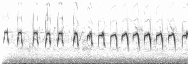 Txoriandre pispoleta mediterraneoa - ML619443408