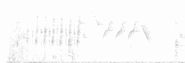 Bataklık Çıtkuşu - ML619443641