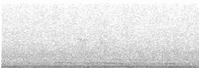 hrdlička kropenatá - ML619443983