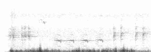 Great Reed Warbler - ML619444482