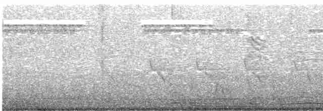 langhaleskredderfugl - ML619445003