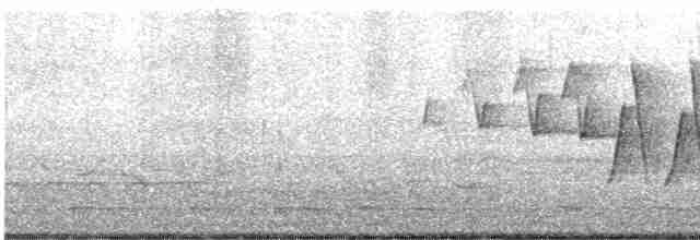 Речной певун - ML619445201
